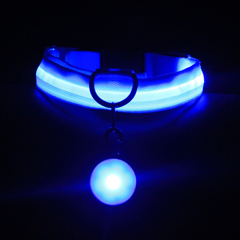 Glow-In-The-Dark Pet Collar
