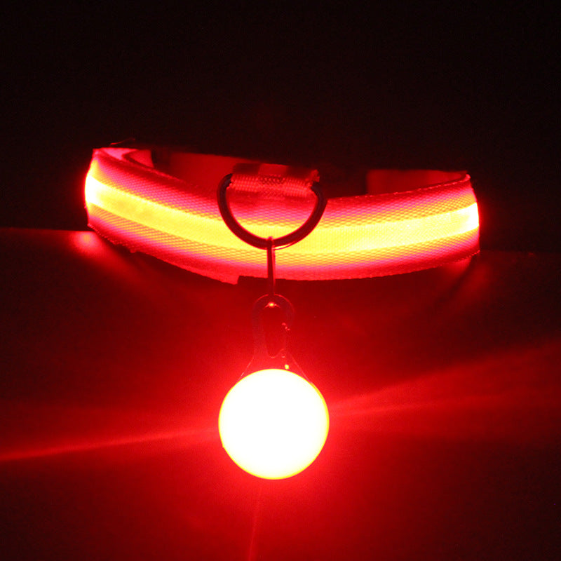 Glow-In-The-Dark Pet Collar