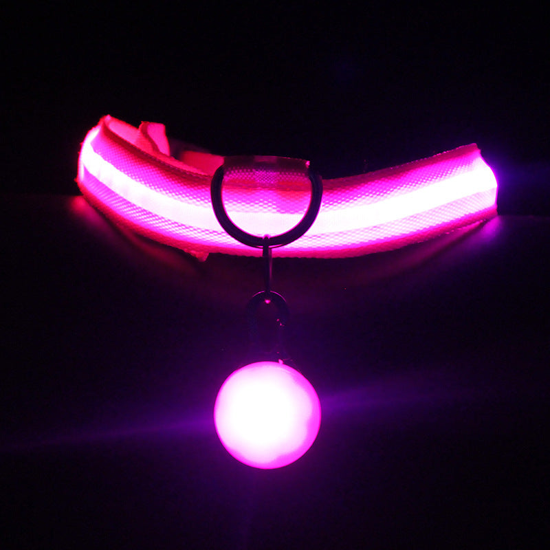 Glow-In-The-Dark Pet Collar