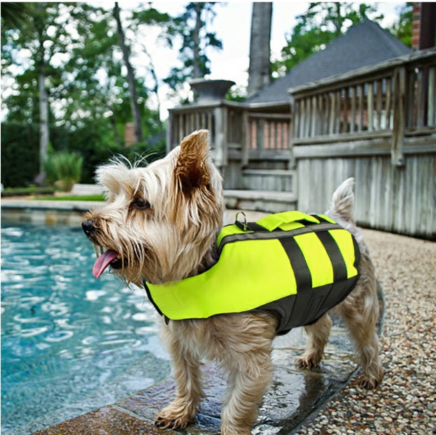 Pet Life Jacket