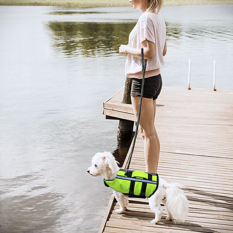 Pet Life Jacket