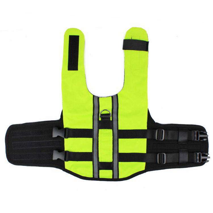 Pet Life Jacket