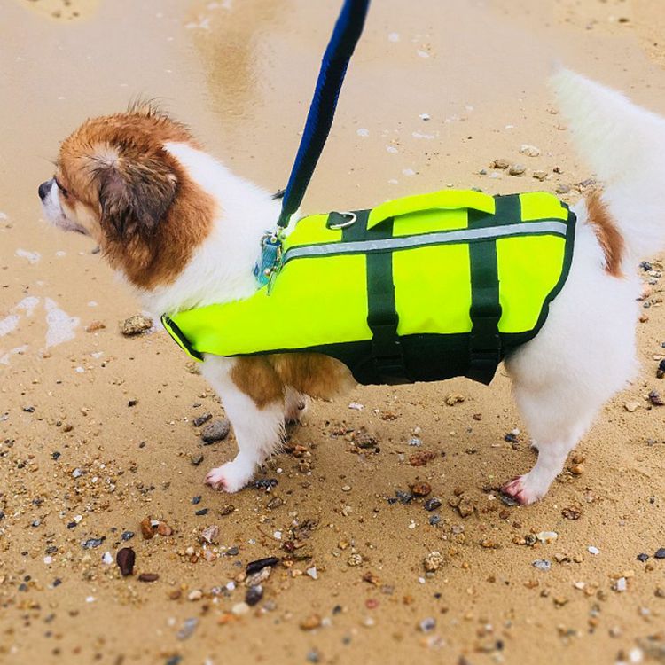 Pet Life Jacket