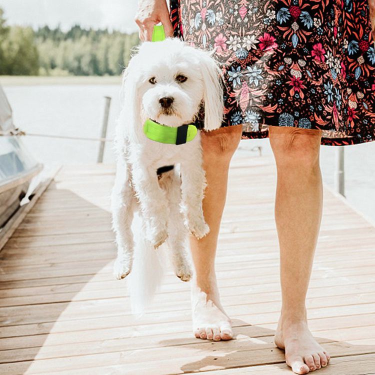 Pet Life Jacket
