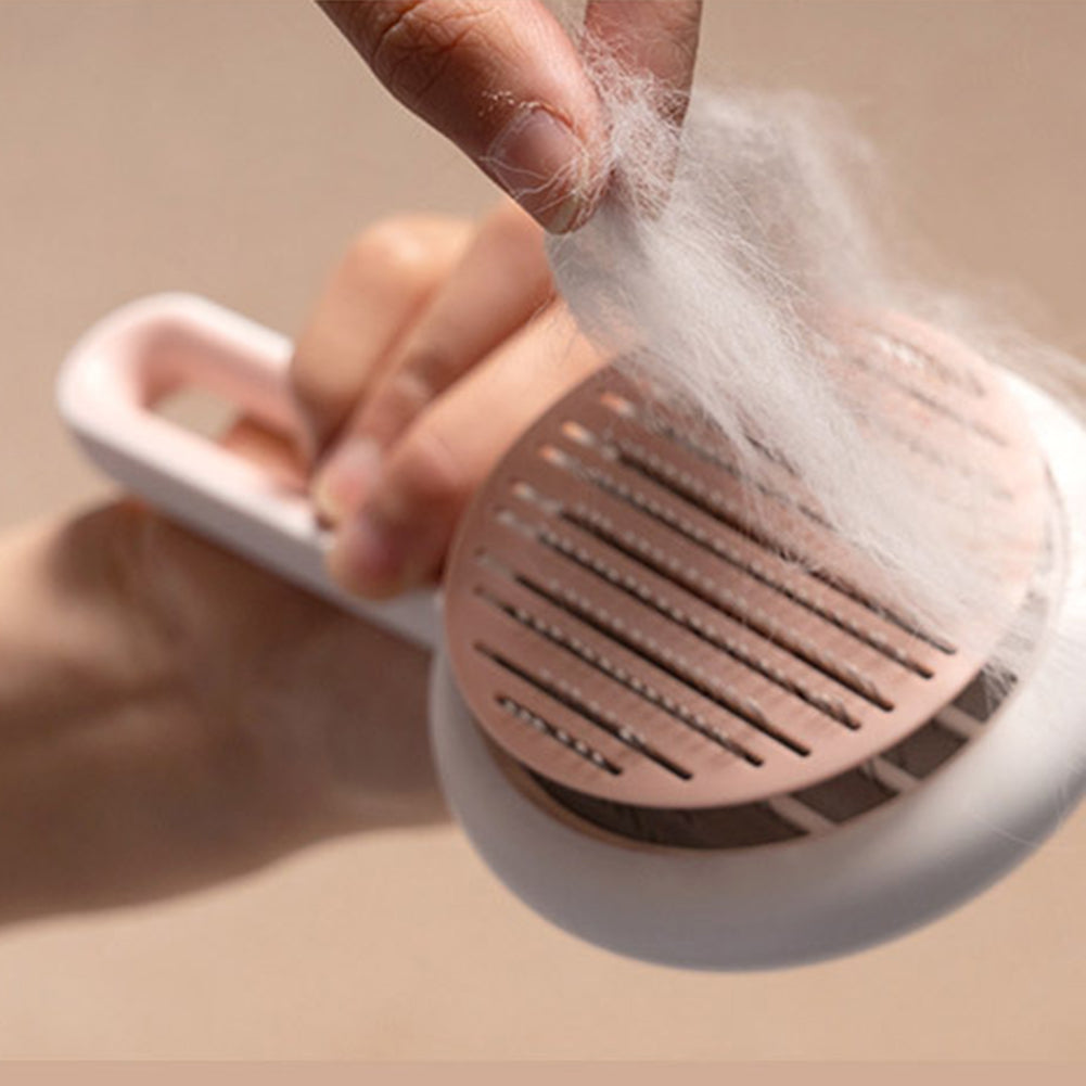 Pet Hair Remover Brush