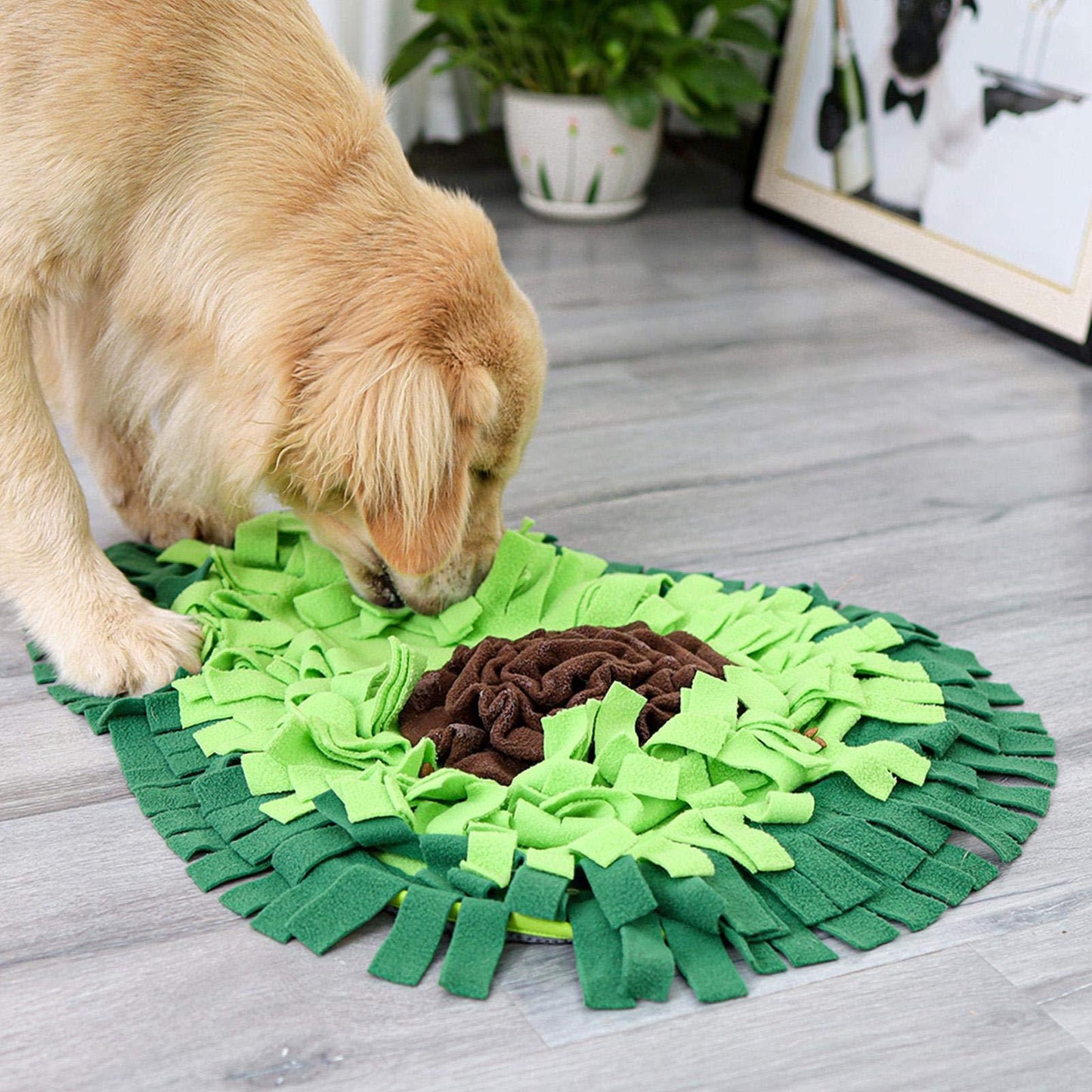 Dog Snuffle Training Mat