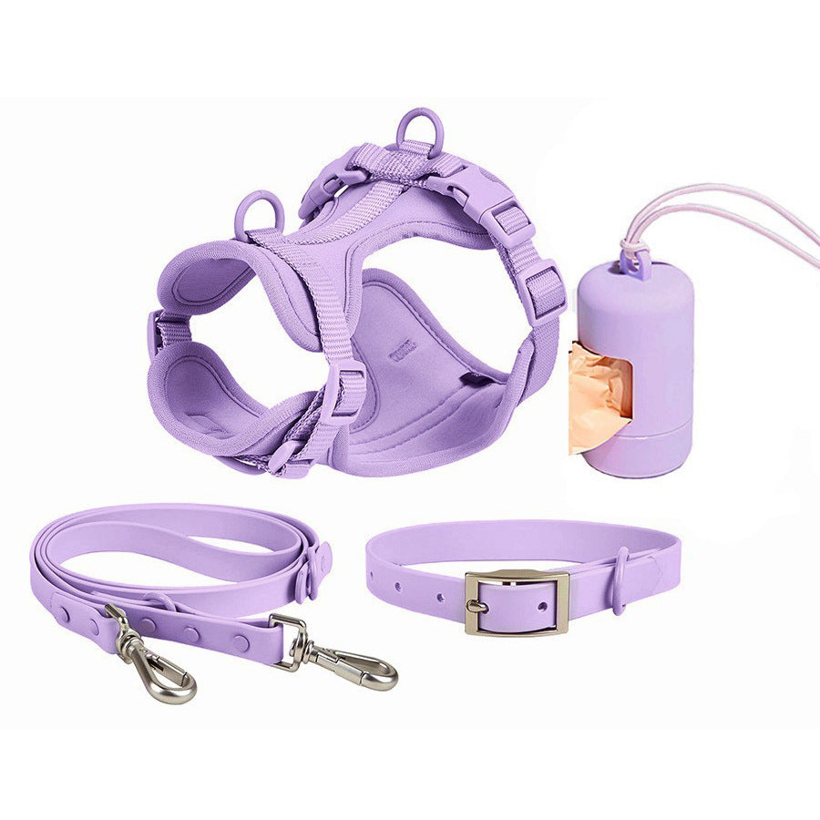 Pet Starter 4pcs set