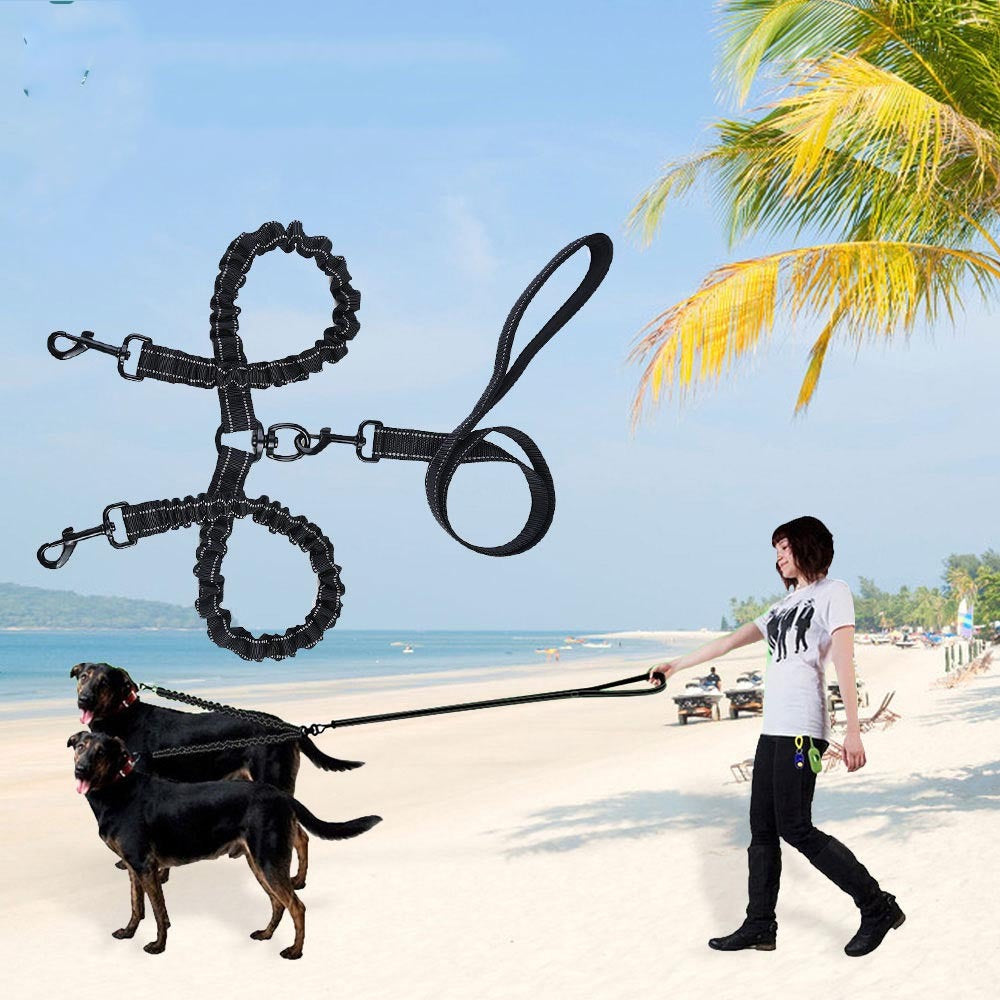 Dual Pet Traction Leash