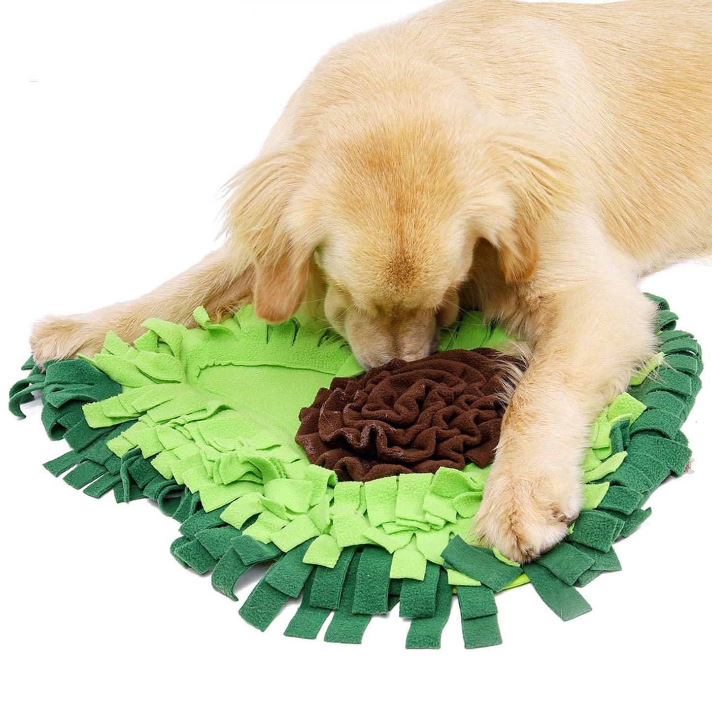 Dog Snuffle Training Mat