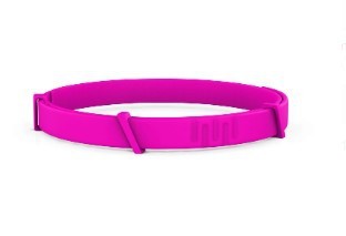 Pet Flea & Tick Collar