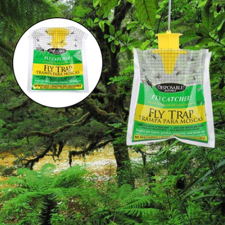 Fly Traps