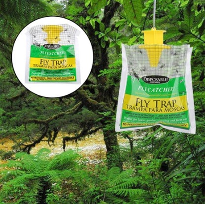 Fly Traps