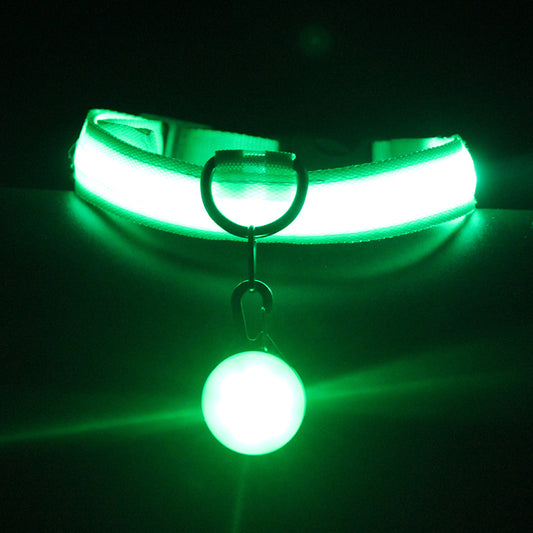 Glow-In-The-Dark Pet Collar