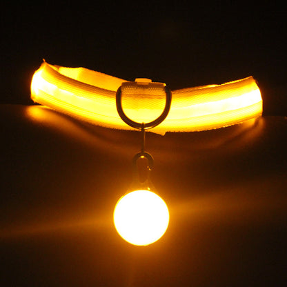 Glow-In-The-Dark Pet Collar
