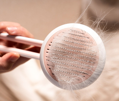 Pet Hair Remover Brush