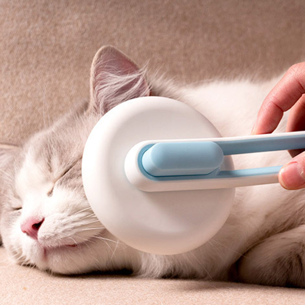 Pet Hair Remover Brush