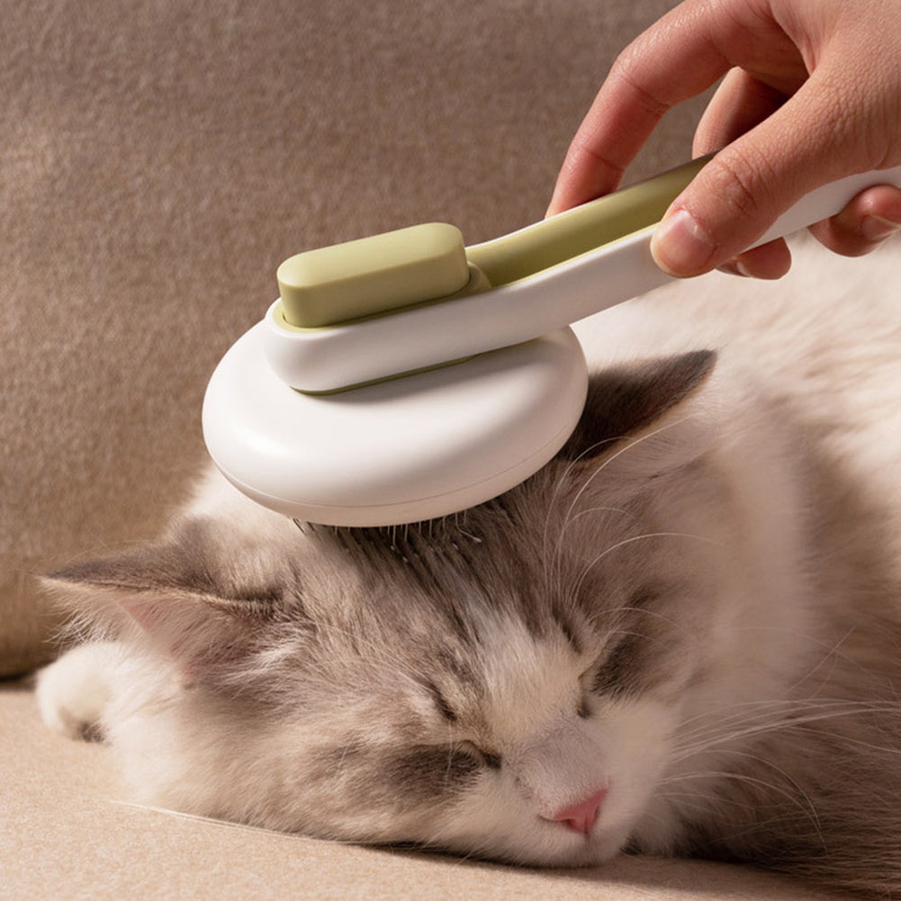 Pet Hair Remover Brush