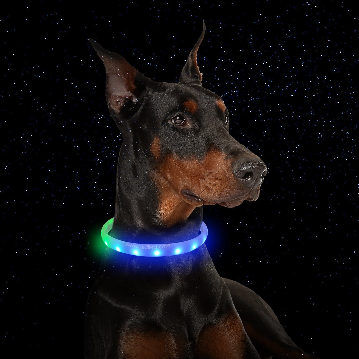 Pet RGB Flash Collar