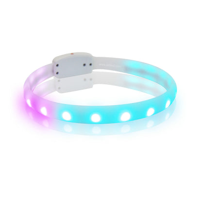 Pet RGB Flash Collar