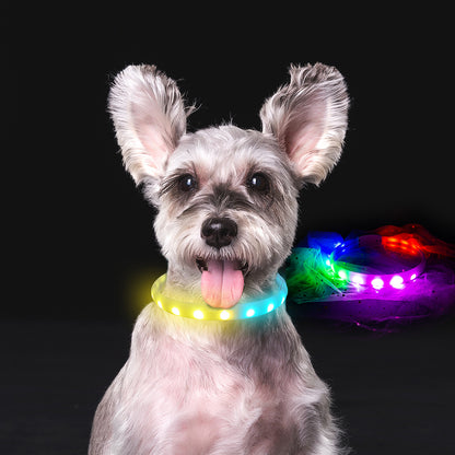 Pet RGB Flash Collar