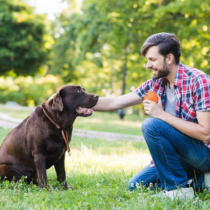 Smart Interactive Pet Toy Ball