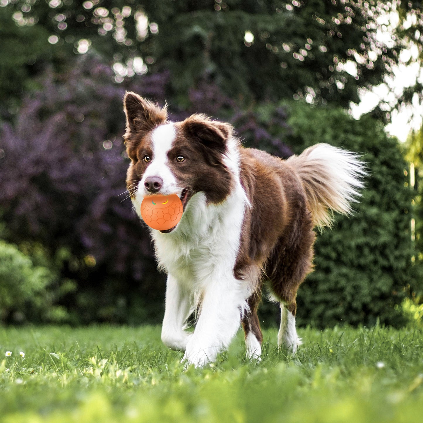 Smart Interactive Pet Toy Ball