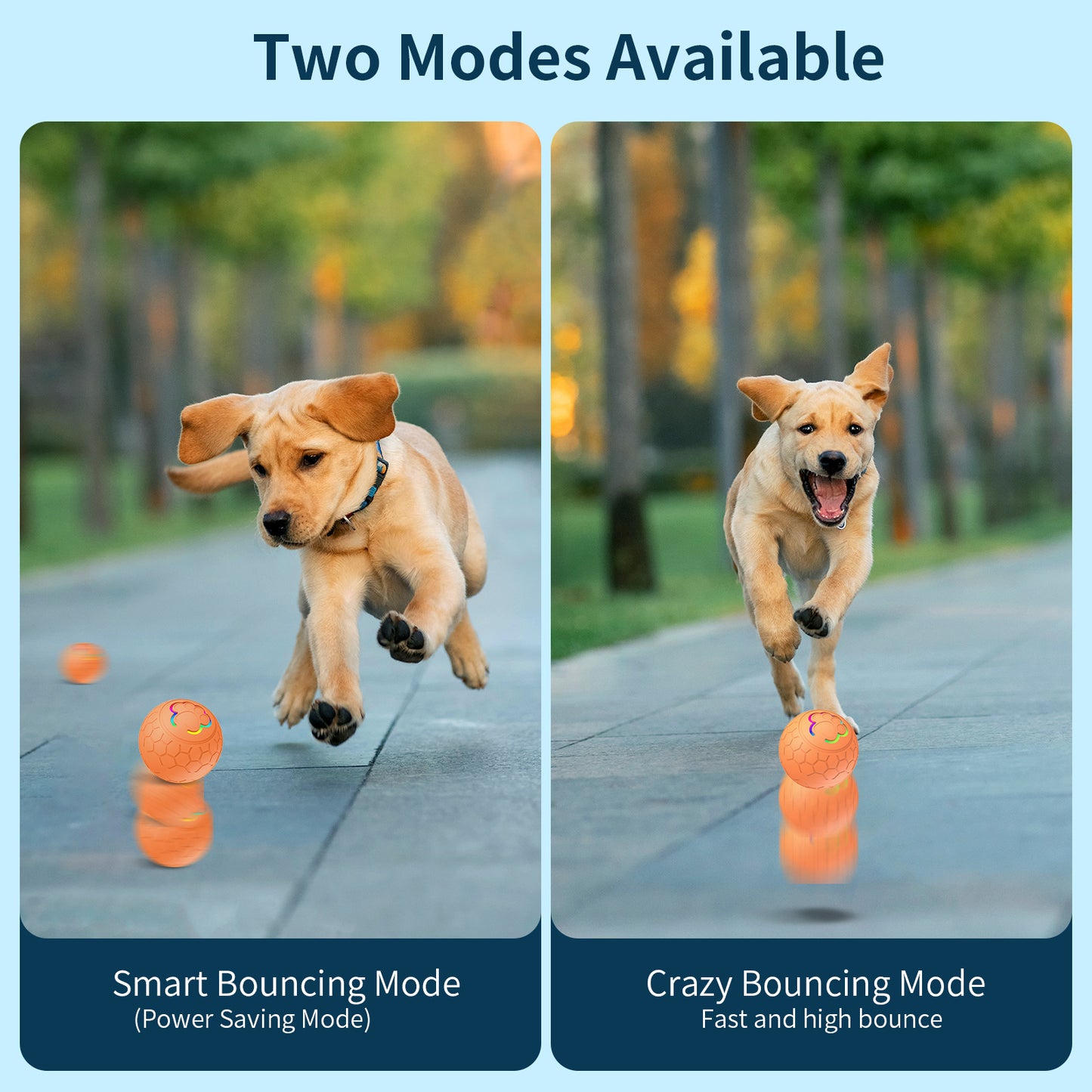Smart Interactive Pet Toy Ball