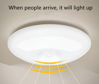 Rechargeable Motion Sensor Light