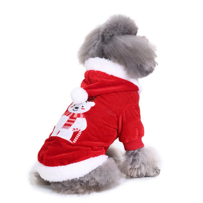 Pet Outfits