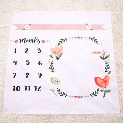 Baby Milestone Blanket