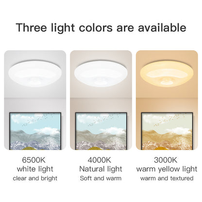 Rechargeable Motion Sensor Light