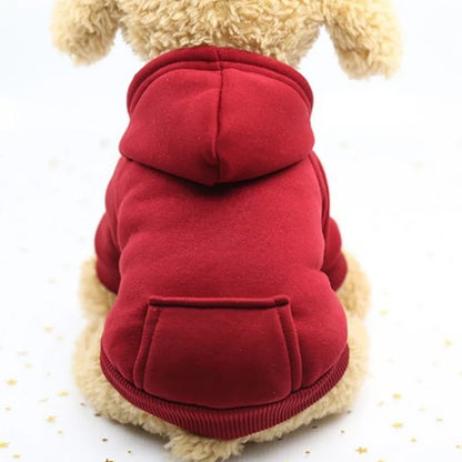 Pet Hoodie