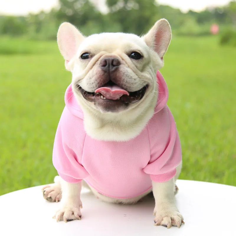 Pet Hoodie