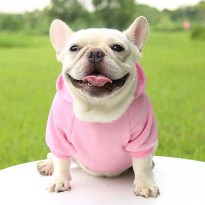 Pet Hoodie