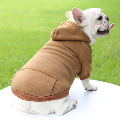 Pet Hoodie