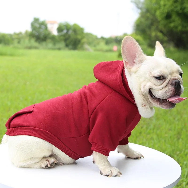 Pet Hoodie