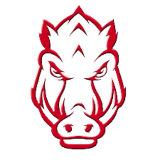 Razorback Hog UV Decal sticker