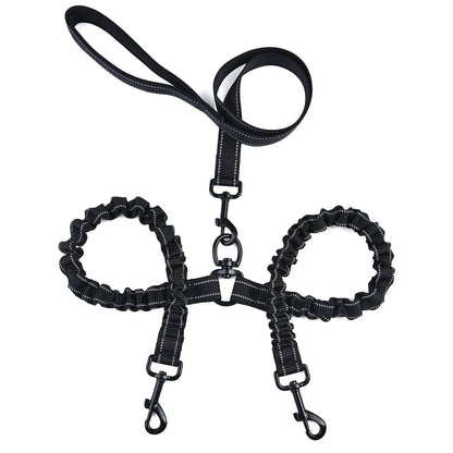 Dual Pet Traction Leash