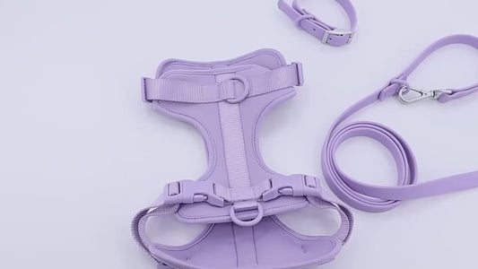 Pet Starter 4pcs set